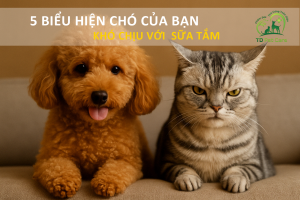 biểu hiện chó mèo khó chịu với sữa tắm