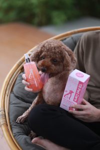 Sua tam tdpetcare