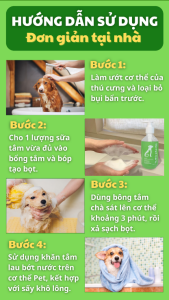 các bước tắm