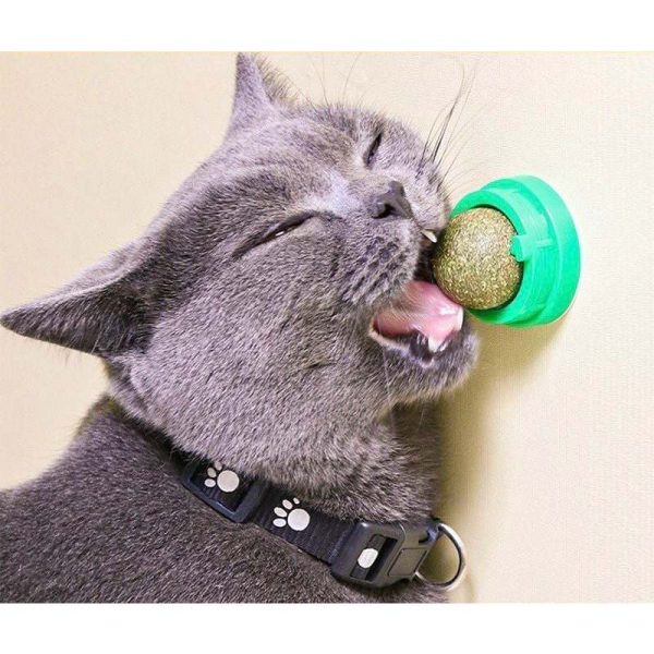 images-upload-woo2Ff92845d8bf13a54f0a0cd51b21f733a4.jpg