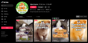 tiktok