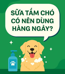 sữa tắm chó có nên dùng hàng ngày